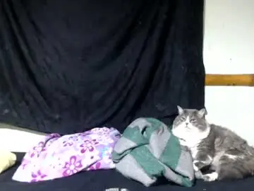 Chaturbate Best live sex cam show of miahells