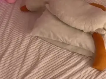 Chaturbate Adult Webcam of playussoftly