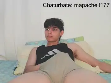 Chaturbate Sex Cam of mapache1177
