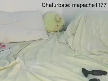 Chaturbate Sex Cam of mapache1177