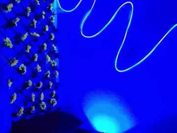 Chaturbate Adult Webcam of horus_at