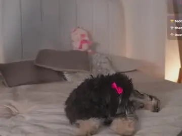 Chaturbate Nude Webcam of madison__evans