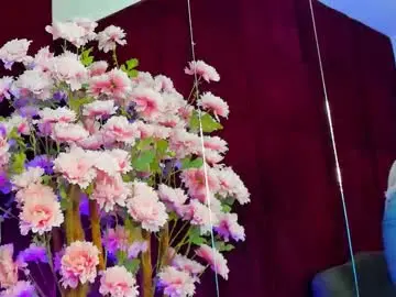 Chaturbate Adult Webcam of sugar_maple