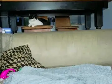 Chaturbate Adult Webcam of ardeliacarhart