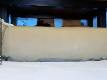 Chaturbate Live Sex Cam of ardeliacarhart