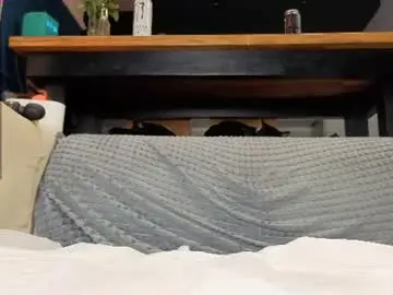 Chaturbate Adult Video Chat of ardeliacarhart