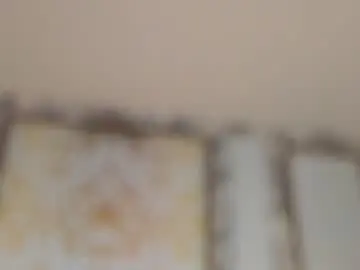 Chaturbate Watch Live Sex Cams of celesteverona