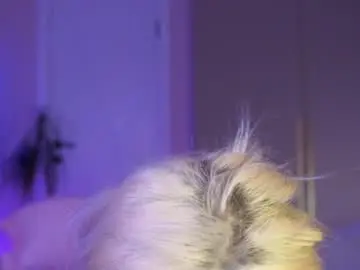 Chaturbate Live Sex of milabunny_