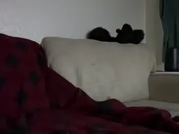 Chaturbate Live Porn of healthiest_cock