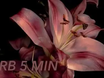 Chaturbate Adult Webcam of moranosofia