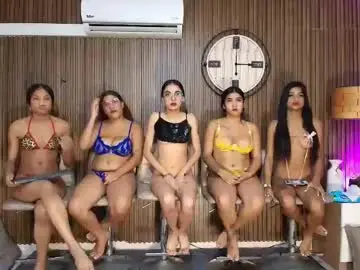 Chaturbate Live Sex of canelasquirtxxx