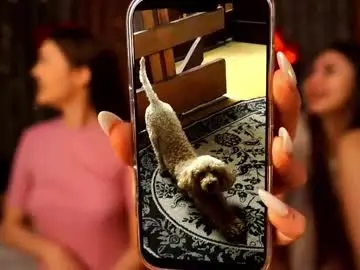 Chaturbate Live Sex of catolinanight