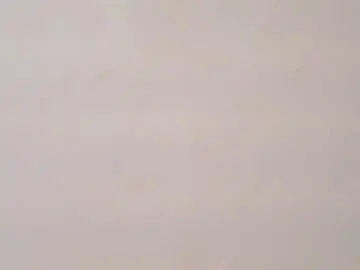 Chaturbate Live Porn of bella_wiild