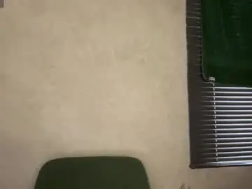 Chaturbate Adult Webcams of pussymoneywet