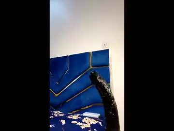 Chaturbate Free Porn Cam of skinnyasssexyboobs16