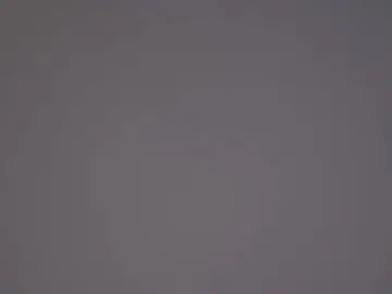 Chaturbate Adult Webcams of tashinapetitto