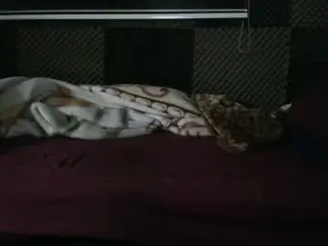 Chaturbate Live Sex Cam of cezar46