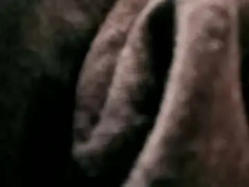 Chaturbate Live Sex of josepty507