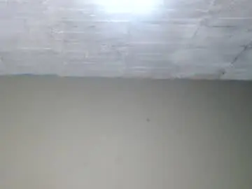 Chaturbate Free Live Porn of angels_0001