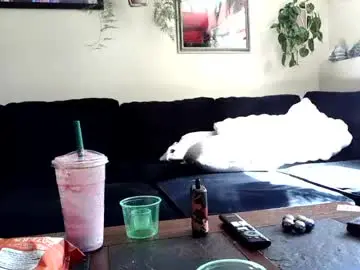 Chaturbate Best live sex cam show of evanschris2048