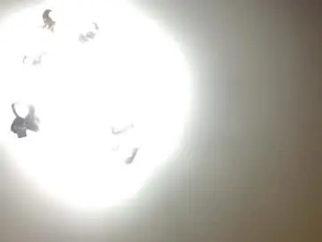 Chaturbate Private Sex Chat of trudymersereau