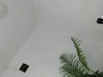 Chaturbate Adult Video Chat of baddie_bunnyx
