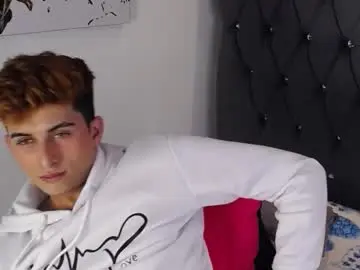 Chaturbate Adult Video Chat of mr_williseo