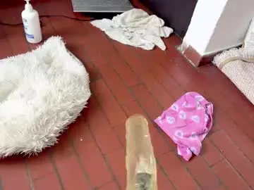 Chaturbate Best live sex cam show of xandernaked