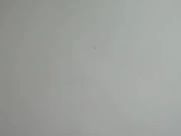 Chaturbate Best Webcam of adamsex2025