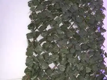 Chaturbate Adult Video Chat of hannablakex