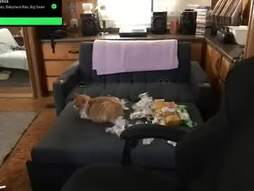 Chaturbate Best Webcam of incognitoqueen