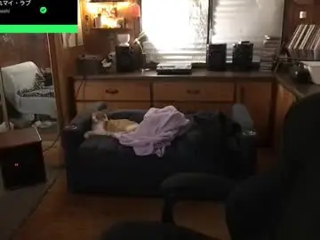 Chaturbate Free Porn Cam of incognitoqueen