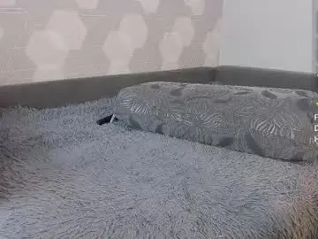 Chaturbate Sex Chat of eva_curl