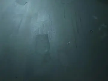 Chaturbate Free Live Porn of models_sophia