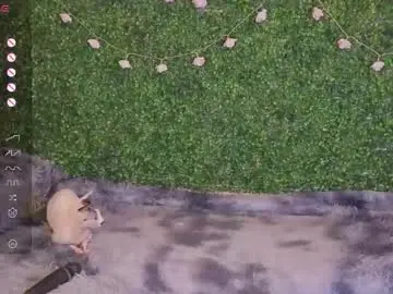 Chaturbate Private Sex Chat of katerinnna