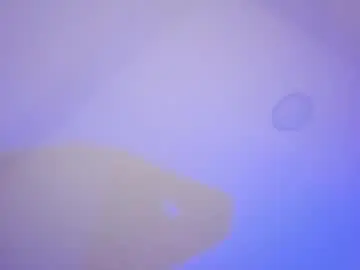 Chaturbate Live Porn of marily_daniela_