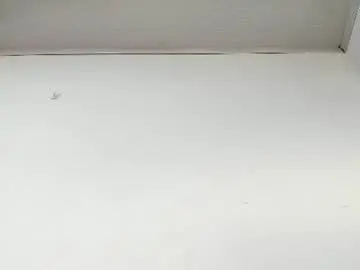 Chaturbate Live Sex Cam of nahomyrusell