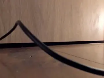 Chaturbate Free Live Porn of rachel_rey