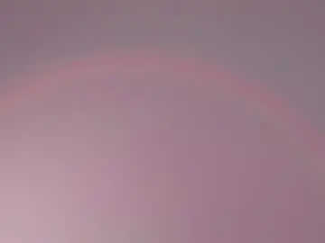 Chaturbate Live Sex of sophia_cambpell