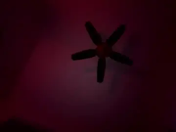 Chaturbate Adult Video Chat of zebrasandgazelles