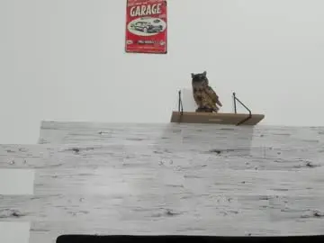 Chaturbate Free Porn Cam of jaycreedd