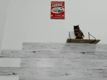 Chaturbate Adult Video Chat of jaycreedd