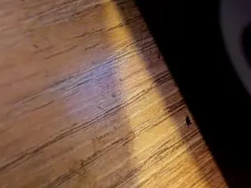 Chaturbate Adult Webcam of morthy_downey