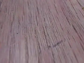 Chaturbate Private Sex Chat of morthy_downey