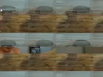 Chaturbate Private Sex Chat of judithchristina