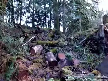 Chaturbate Live Porn of info_chat