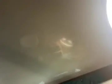 Chaturbate Best Webcam of christophertan