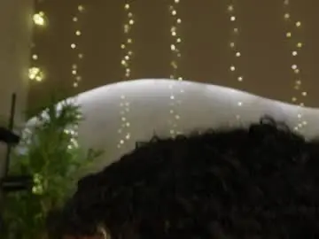 Chaturbate Adult Webcam of willow_hendrix