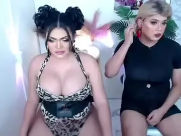 Chaturbate Private Sex Chat of 10incheskinkynastytrans
