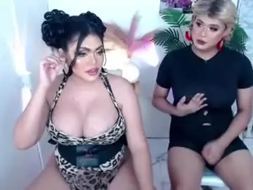 Chaturbate Adult Webcams of 10incheskinkynastytrans